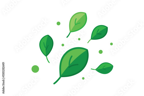Baby Spinach Leaves Falling From Top In Vector On White