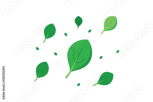 Baby Spinach Leaves Falling From Top In Vector On White