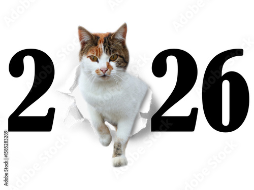 Jahreswechsel mit Tier als Motiv