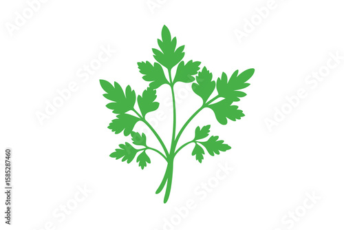 Decorative Parsley Bunch In Vector Style On White Background