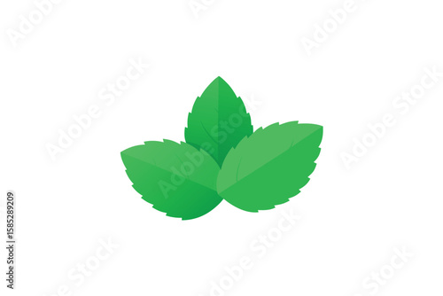 Fresh Mint Leaves Floating Set Isolated Flat Vector