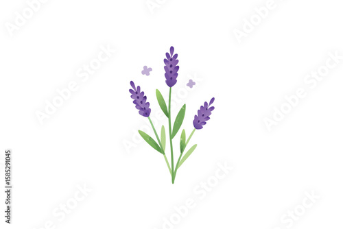 Lavender Herbs And Forest Berries Painted In Subtle Watercolor Style