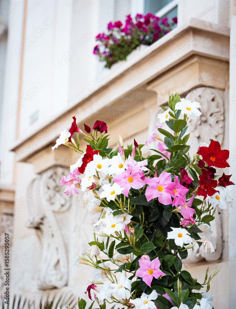 Naklejka premium sizilien