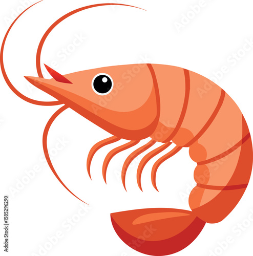 vector illustration of shrimp