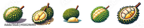 Illustration showing the stages of a durian fruit, from whole to cut open.