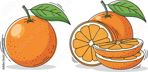 Whole and sliced orange fruit illustration.