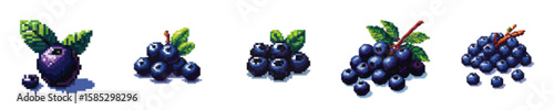Blueberries in various quantities, depicted with leaves, showcasing single berries to larger clusters.