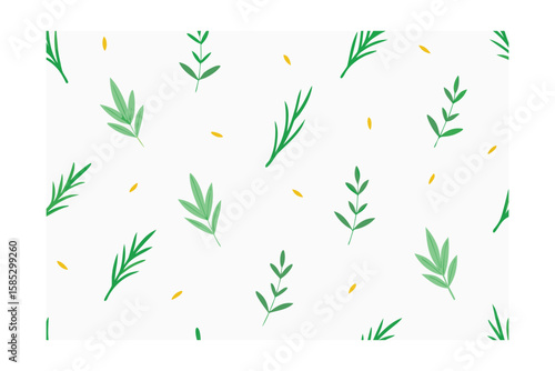 White Seamless Backdrop With Painted Herbs And Onion