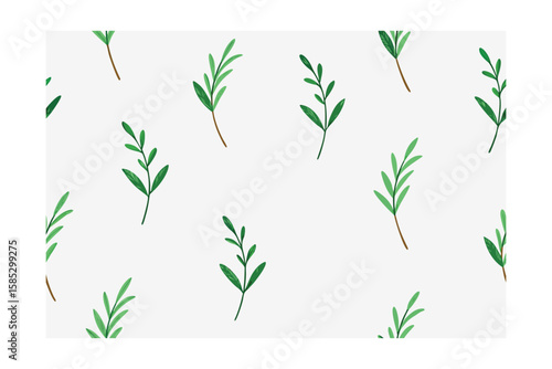 White Seamless Backdrop With Painted Herbs And Onion