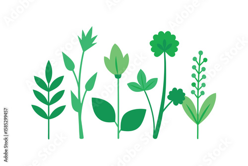 Wild Green Herbs Collection Vector Flat Set On White