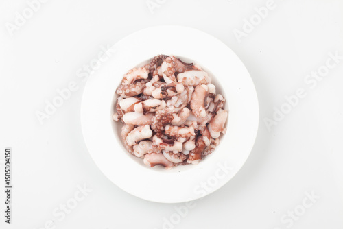 Fotografie Octopus is a member of the octopus family