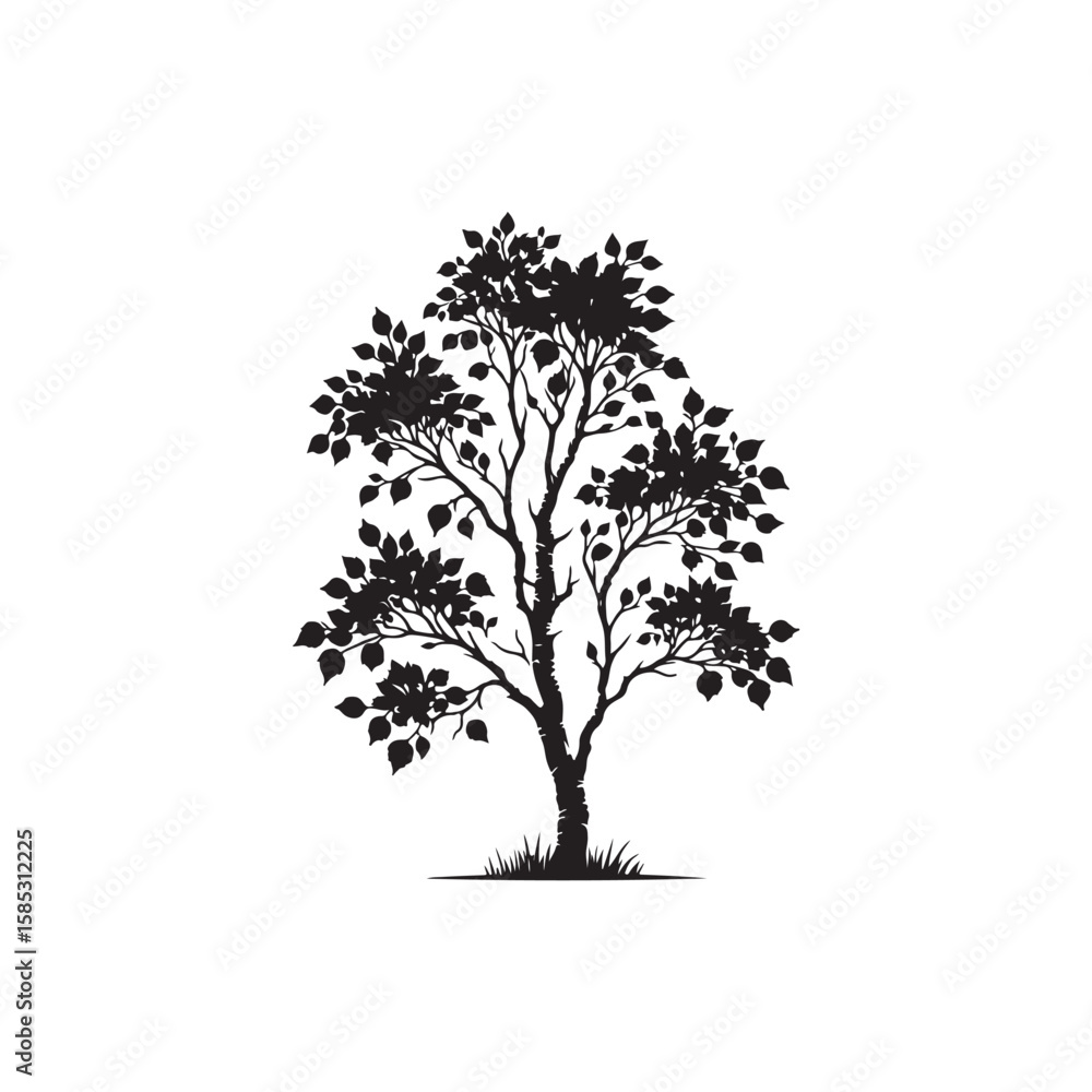 Fototapeta premium Alder tree Vector (3).eps