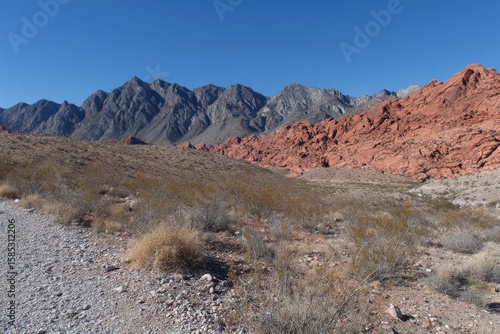 Desert valley with red rock mountains