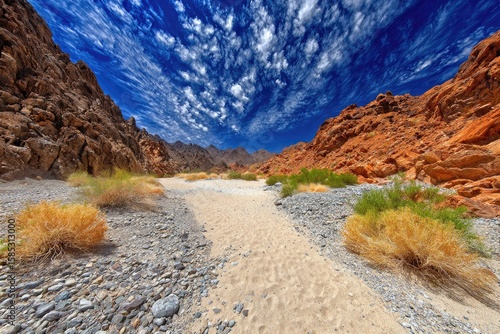 Sunny desert canyon path.  Dry wash,  red rock walls,  blue sky,  fluffy clouds