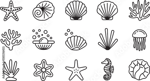 Marine life collection with starfish shells coral and jellyfish seashell conch