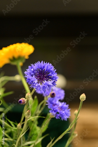Close-up of Blue Cornflower Blossom – Macro Shot of Centaurea Cyanus