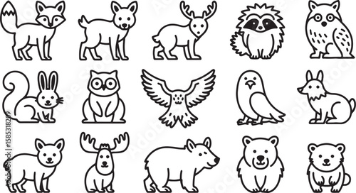 Wildlife Animals Line Drawings of Forest Creatures