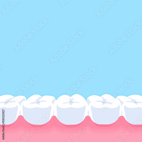 Normal teeth - Text box banner (square) illustration vector design. Dental care concept.