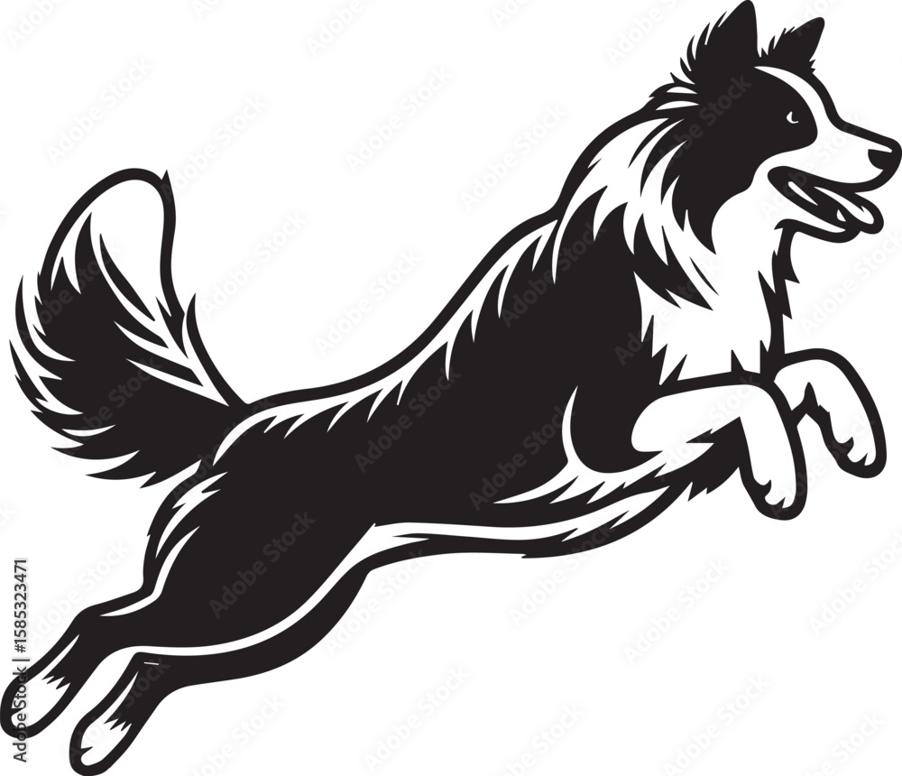Fototapeta premium Border Collie Dog Vector – Silhouette 