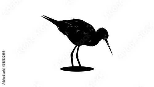 Black Stilt bird, black isolated silhouette