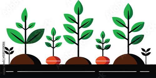 This collection of images depicts illustrations showing the stages of plant growth, from sprouting seeds to mature plant