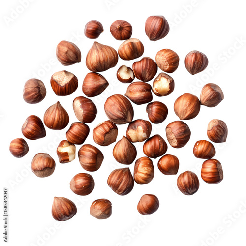 Wallpaper Mural Delicious Hazelnuts A Collection of Shelled Hazelnuts for Recipes and Baking isolated on transparent background Torontodigital.ca