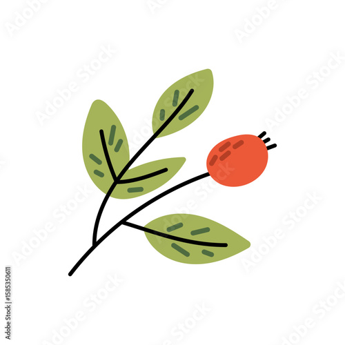 Branch with green leaves and rowan