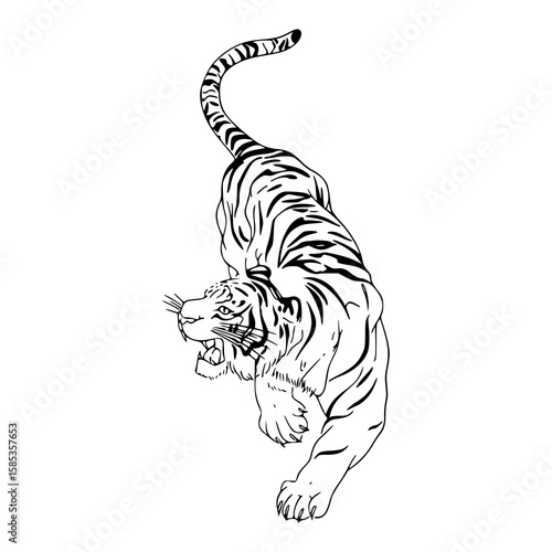 dynamic tiger sketch illustration