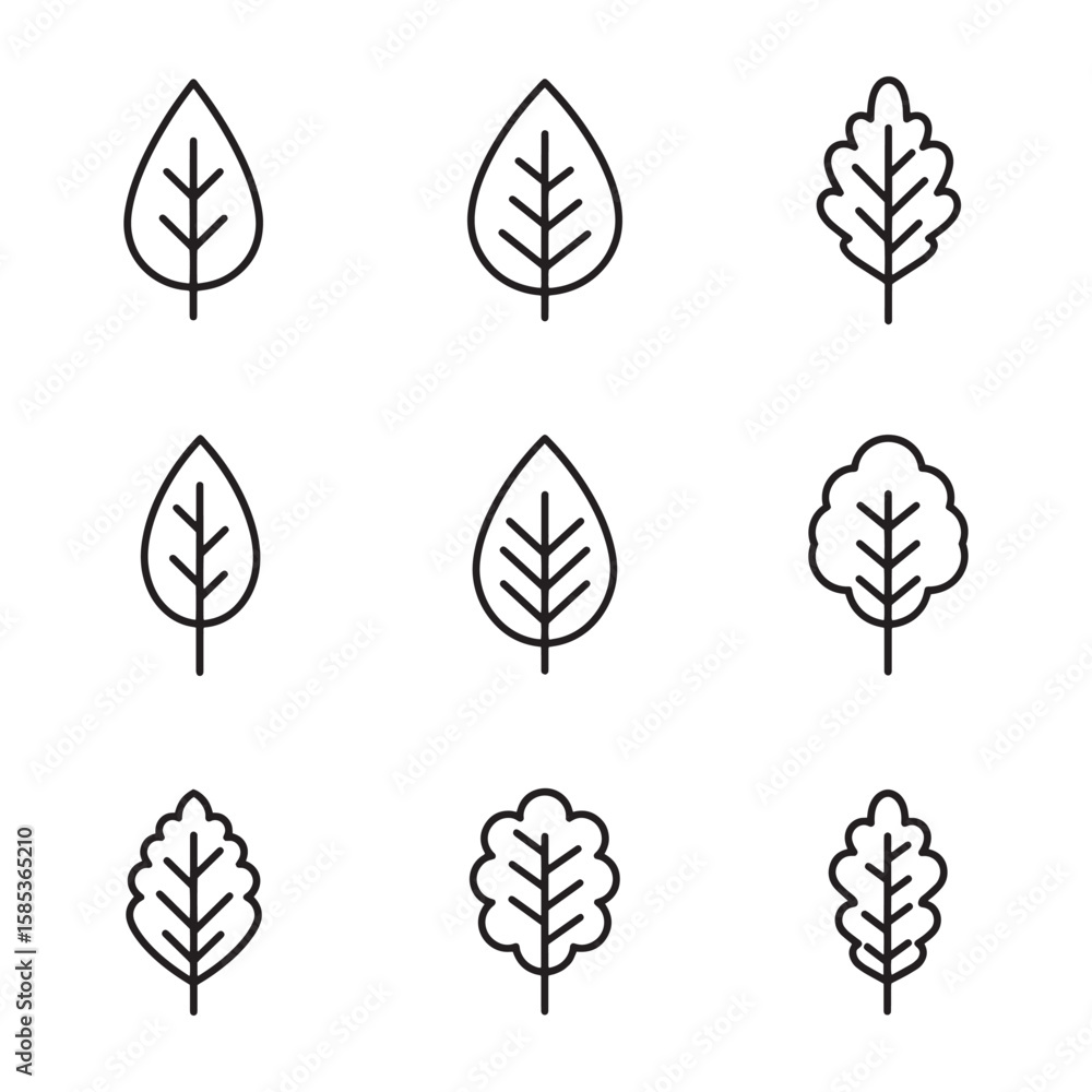 Fototapeta premium Simple outline illustrations of various leaf designs for nature and botanical themed projects