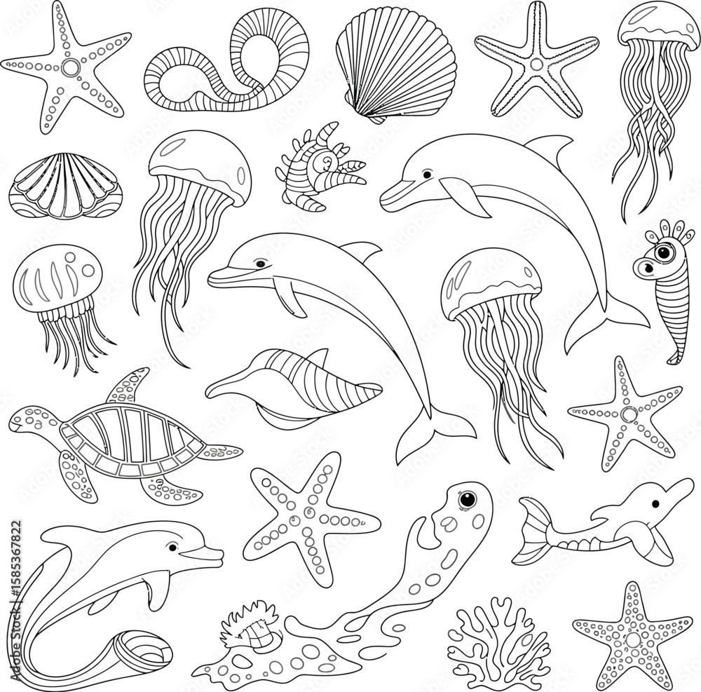 Obraz premium Collection of diverse seashell outlines isolated on transparent background isolated on white background