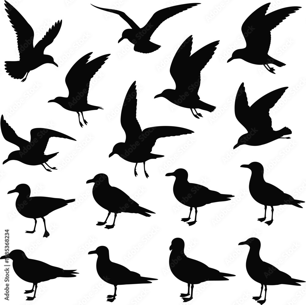 Fototapeta premium Seagull Bird Silhouettes - Flying and Standing Vector Set