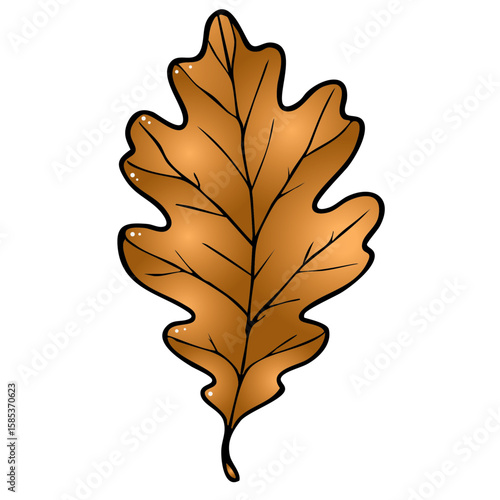 Eiche Blatt Eichenblatt 