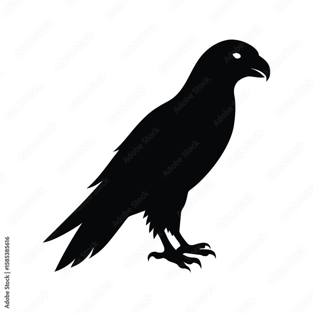 Obraz premium A hawk bird silhouette vector illustration.