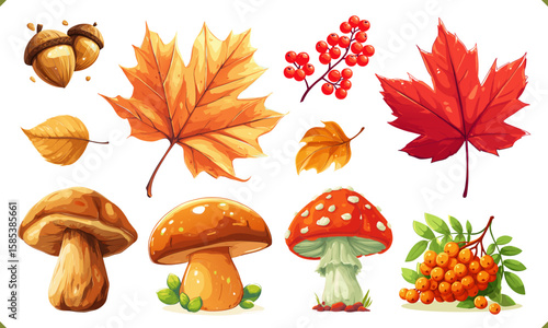 Autumn vector set with mushrooms, maple leaves, acorns, and berries. Bright cartoon illustration in warm fall colors on a clean white background