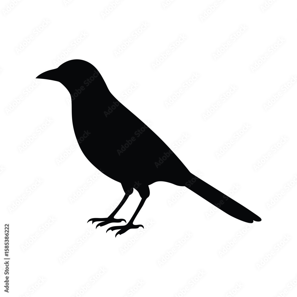 Fototapeta premium A jay bird silhouette vector illustration.