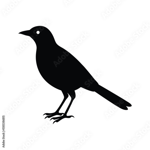 A mynah bird silhouette vector illustration.