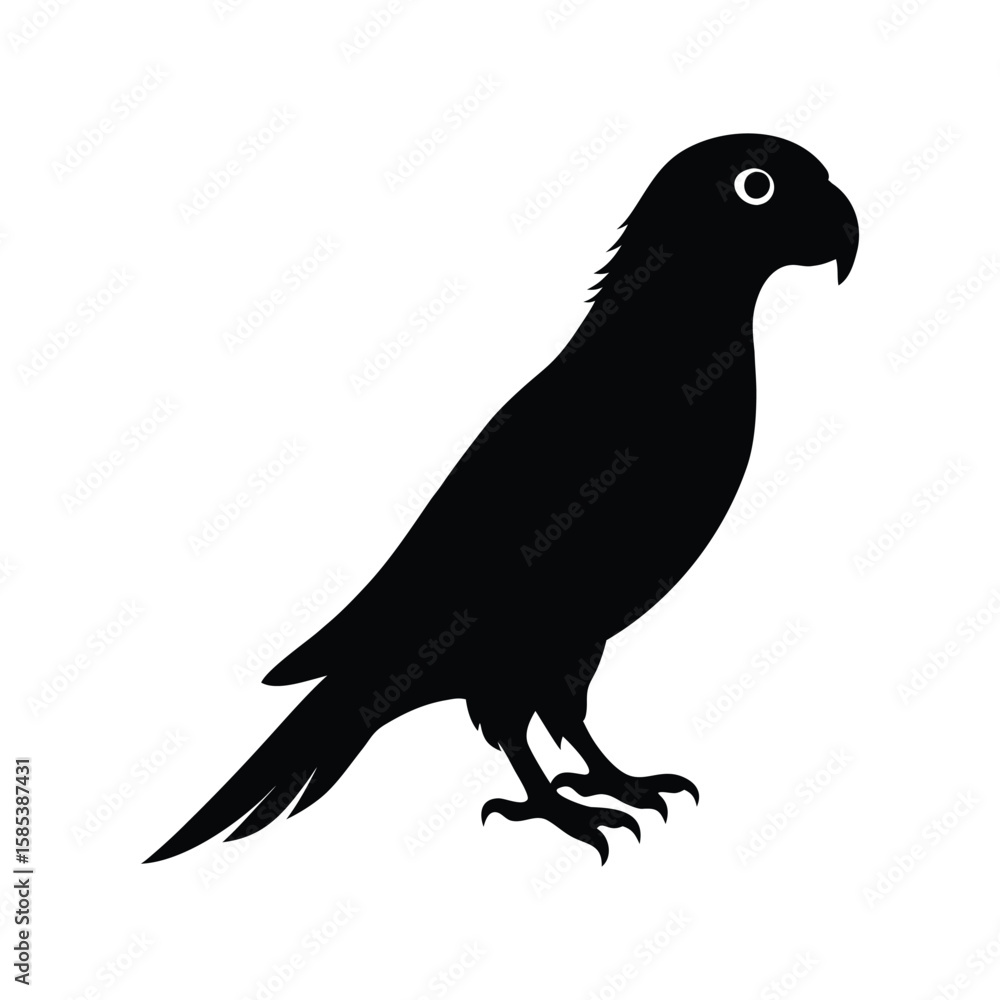 Fototapeta premium A parrot bird silhouette vector illustration.
