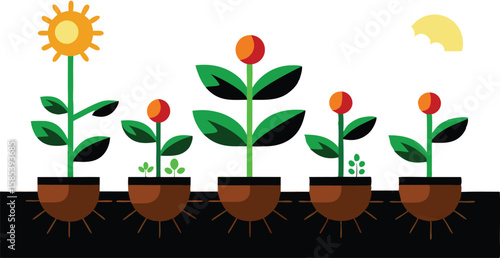 An illustration depicting the stages of plant growth, from seedling to mature plant, often with elements like roots, leaves, and flowers