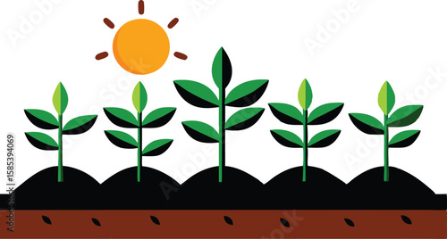 An illustration depicting the stages of plant growth, from seedling to mature plant, often with elements like roots, leaves, and flowers