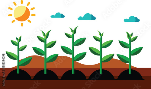 An illustration depicting the stages of plant growth, from seedling to mature plant, often with elements like roots, leaves, and flowers