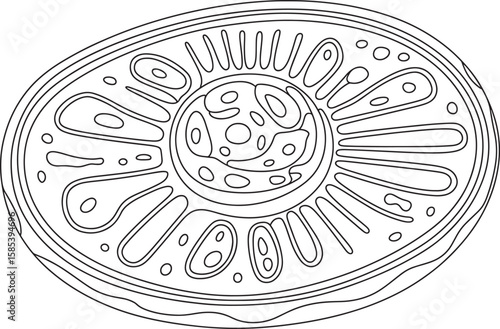 Abstract Microscopic Biological Cell Structure Vector Illustration. Microscopic Cell Art, Abstract Biology Circle, Petri Dish Design, Organic Cell Structure, Scientific Microorganism Vector