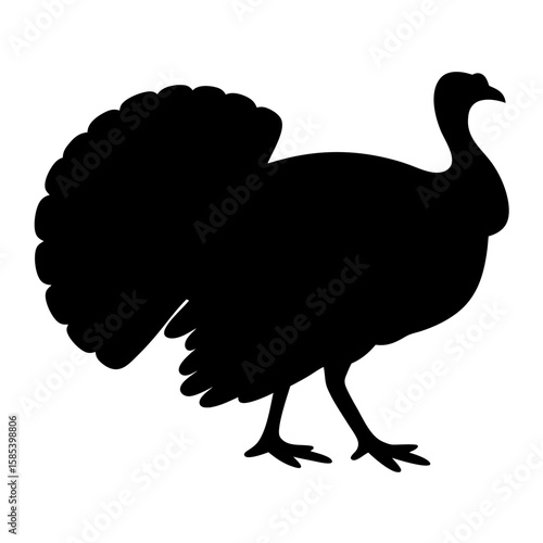 Black silhouette of a domestic turkey, standing proud with its tail feathers fanned.
