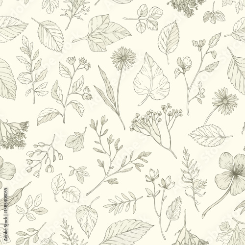 Seamless pattern of botanical sketches with leaves and flowers