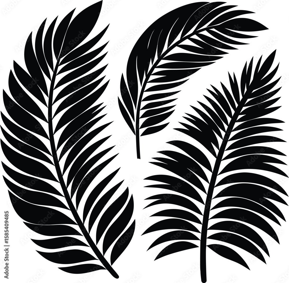 Obraz premium leaves silhouette