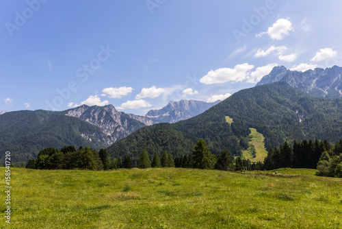 alpine meadow with lush green field and majestic mountains view under a clear blue sky with empty space for text