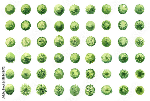 Watercolor Top View Trees Collection. Set for Landscape Design, Maps and Architecture Plans on White Background.