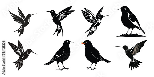 Elegant black silhouette bird collection: hummingbirds, blackbirds, stylized design.