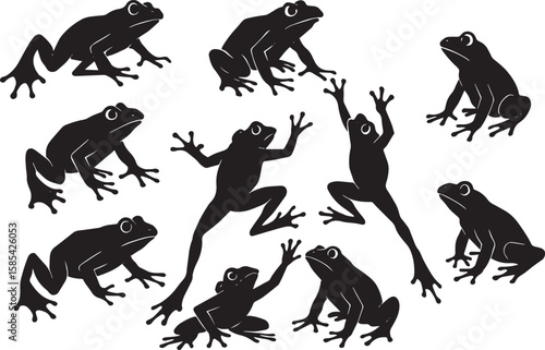 Black Frogs Various Poses amphibian animal