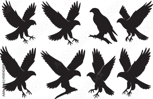 Eight black falcon silhouettes in various flight poses hawk bird