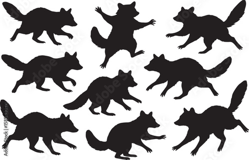 Raccoon silhouettes diverse poses animal wildlife
